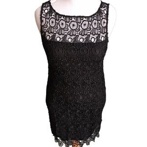 BB Dakota lace Little black dress